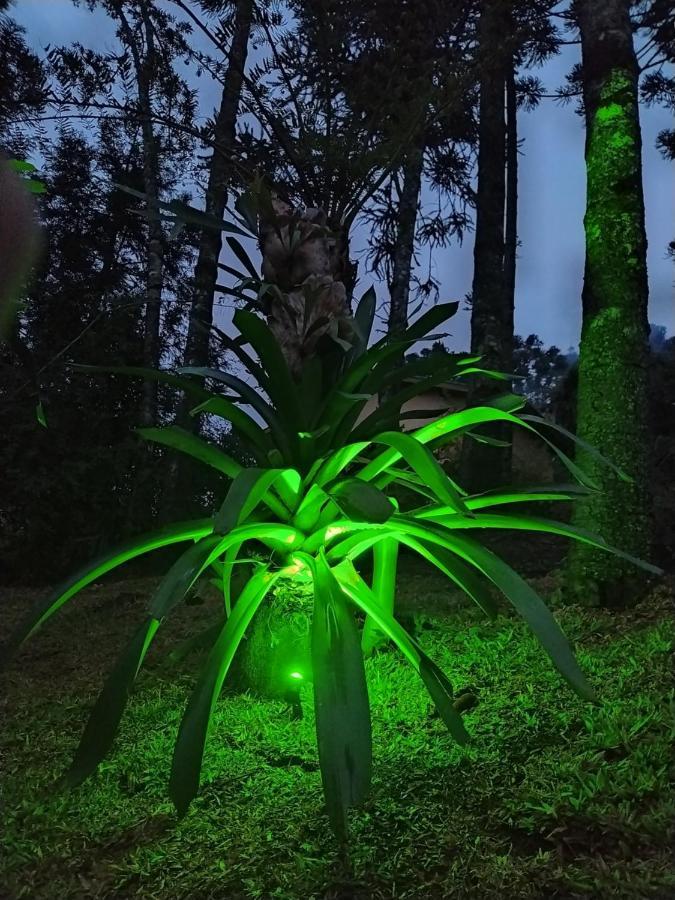 Chales Descanso Na Serra Monte Verde  Luaran gambar